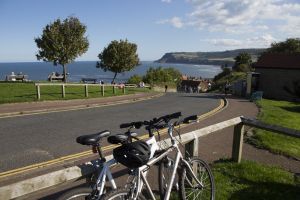 Gorgeous cottages robin hoods bay 21 sm.jpg